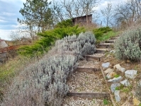 Alcsútdoboz Családi ház