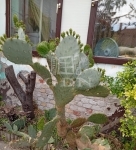 Sükösd Családi ház