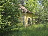 Bácsszőlős Ipari terület