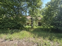 Bácsszőlős Ipari terület