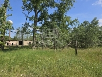 Bácsszőlős Ipari terület