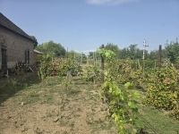 Szászvár Családi ház