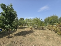 Szászvár Családi ház