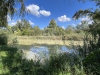 Dunaharaszti Nyaraló