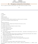 Dunaharaszti Nyaraló