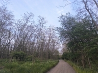 Kakucs Mezőgazdasági terület