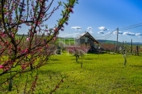 For sale agricultural area Edelény, 3714m2
