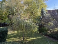 Budapest XI. kerület Lakás