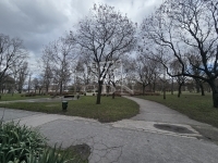 Budapest XV. kerület Lakás