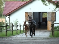 Siófok Mezőgazdasági terület
