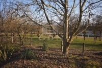 Nemesrempehollós Családi ház