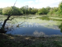 Püspökmolnári Telek