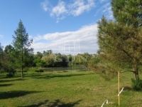 Püspökmolnári Telek