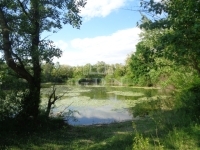 Püspökmolnári Mezőgazdasági terület