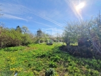 Petrikeresztúr Családi ház