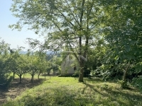 Zalaegerszeg Nyaraló