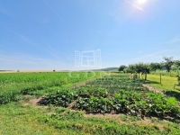 Alsórajk Családi ház