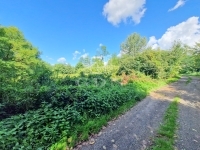 Söjtör Családi ház