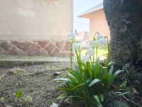 Csatár Családi ház