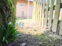 Csatár Családi ház