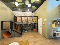 Budapest XI. kerület Lakás