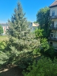 Budapest X. kerület Lakás