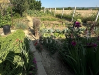 Nagyberki Vendéglátás