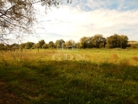 Kaposvár Vendéglátás