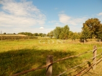 Kaposvár Vendéglátás