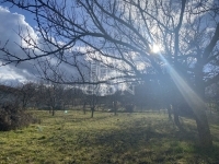 Sárszentmihály Telek