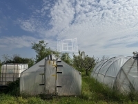 Mátyásdomb Családi ház