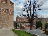 Budapest II. kerület Lakás