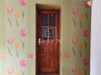 Üllő Családi ház