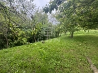 Palotabozsok Családi ház