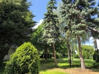 Balatonfüred Lakás