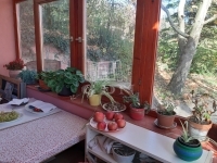 Zsámbék Családi ház