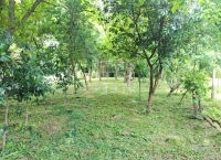 Vámosmikola Családi ház