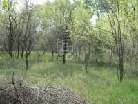 Kecskemét Mezőgazdasági terület