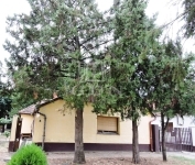 Kerekegyháza Családi ház