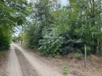 Ballószög Családi ház