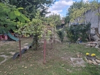 Kecskemét Családi ház