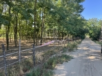 Kecskemét Családi ház