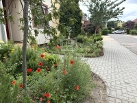 Kecskemét Sorház