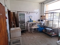 Szigetújfalu Családi ház