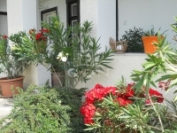 Tököl Családi ház