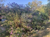 Budapest XXII. kerület Telek