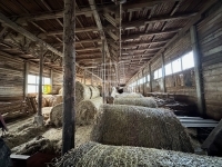 Szokolya Mezőgazdasági terület