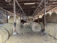 Szokolya Mezőgazdasági terület