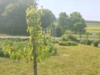 Baktüttös Családi ház