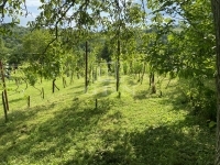 Homokkomárom Nyaraló